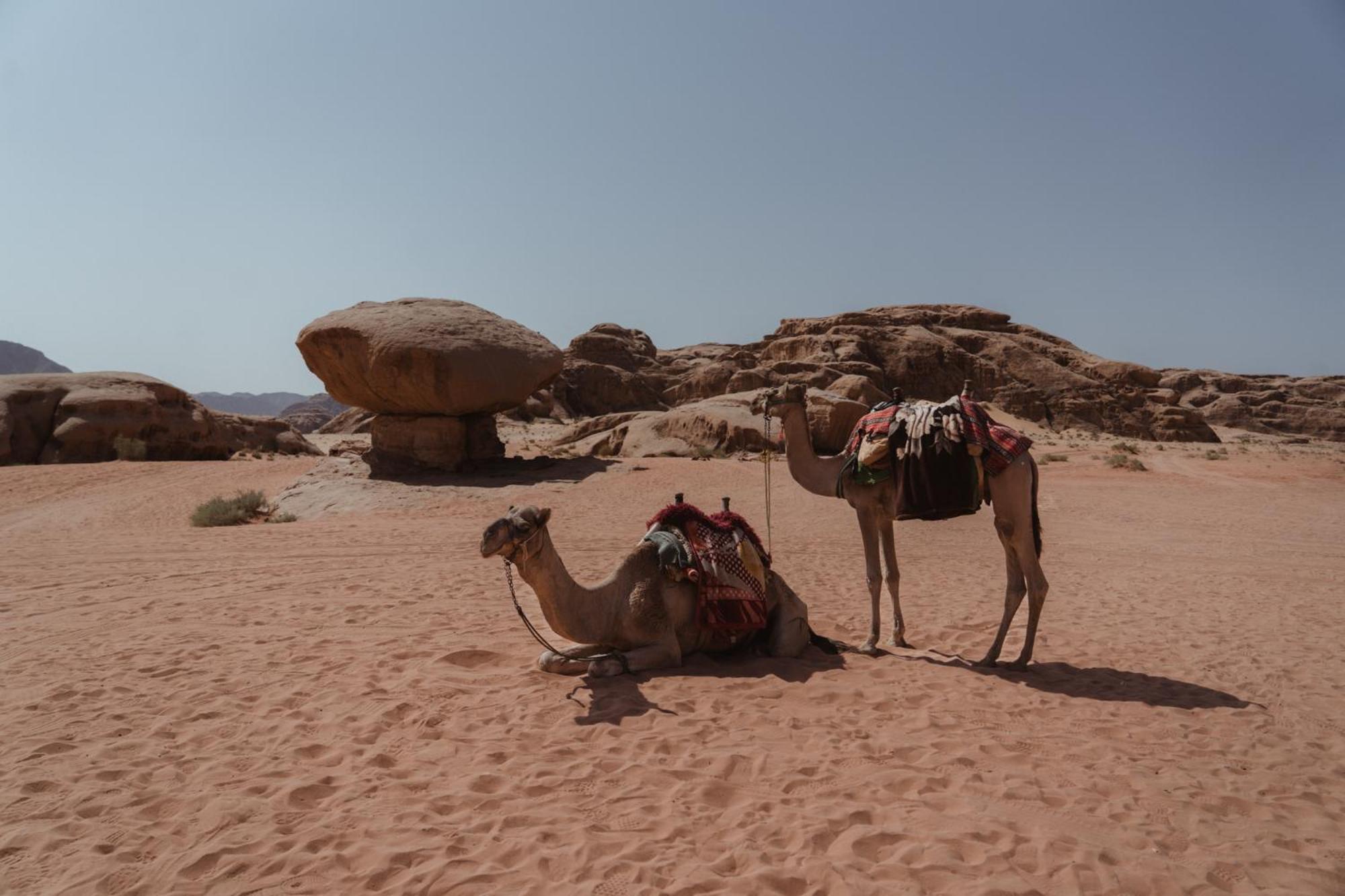 Wadi Desert Dunes Luxury Camp * Wadi Rum